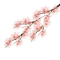 樱花 挑花 素材