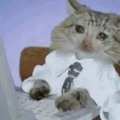 流泪猫猫头表情包 ​... - @送图童子的微博 - 微博