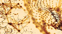 抽象几何曲面、线条和点的背景，用作数字壁纸和技术背景。三维渲染