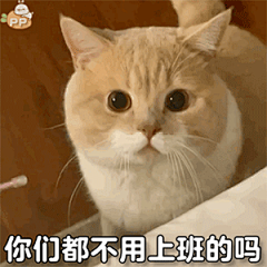 表情包 | 你们都不用上班的吗 拿图点赞、吱声~|表情包|上班_新浪新闻