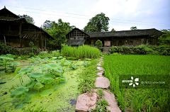 hewj采集到美丽乡村