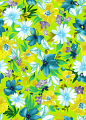 彩色花朵花瓣插画设计文件展示