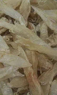 小敏鱼肚味甘、性平，入肾、肝经；

具有补肾益精，滋养筋脉、止血、散瘀、消肿之功效；

治肾虚滑精、产后风痉、破伤风、吐血、血崩、创伤出血、痔疮等症。

小秘方：鱼肚配菠菜，补血止血，对孕期贫血和牙龈出血有预防性食疗作用，同时对便秘和痔疮也有作用。