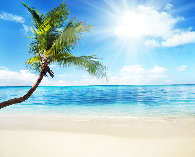 天空，椰子树，沙滩，太阳
