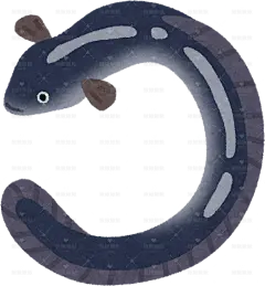 鳗鱼手绘卡通插画手绘png儿童插画免扣素材