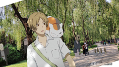 青梅酱采集到夏目