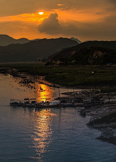 树叶上的书房采集到场景
