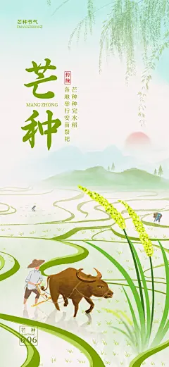 芒种节气海报-源文件-采灵感-cailinggan.com