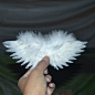 小翅膀白色黑色羽毛天使翅膀百天影楼拍摄道具六一儿童节礼物定做-淘宝网