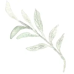 水彩手绘金箔牡丹花卉剪贴画元素免抠PNG图案 婚礼请柬设计ps素材 (1)