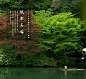  2016.04_02.jpg