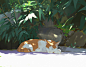 Caturday by snatti89