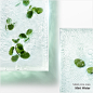 Moist pore care Mint Water 비주얼 이미지