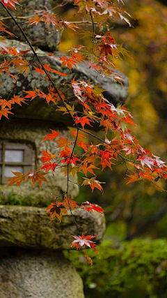 3＋人＋日＝春采集到日式庭院