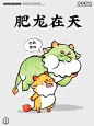 飞龙在天