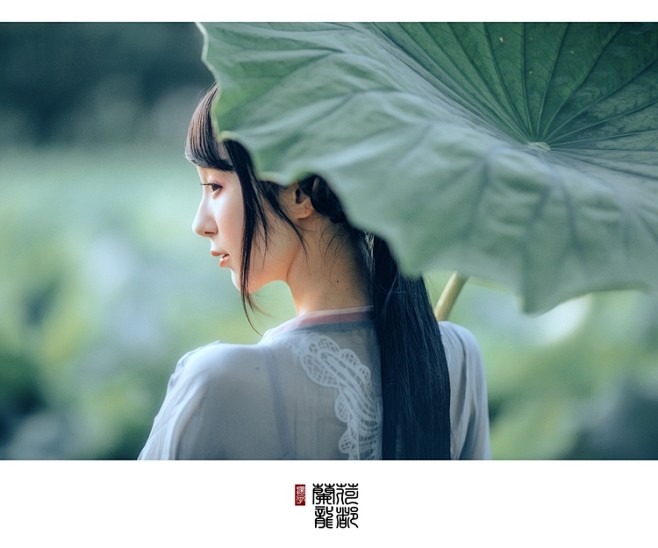 采薇5