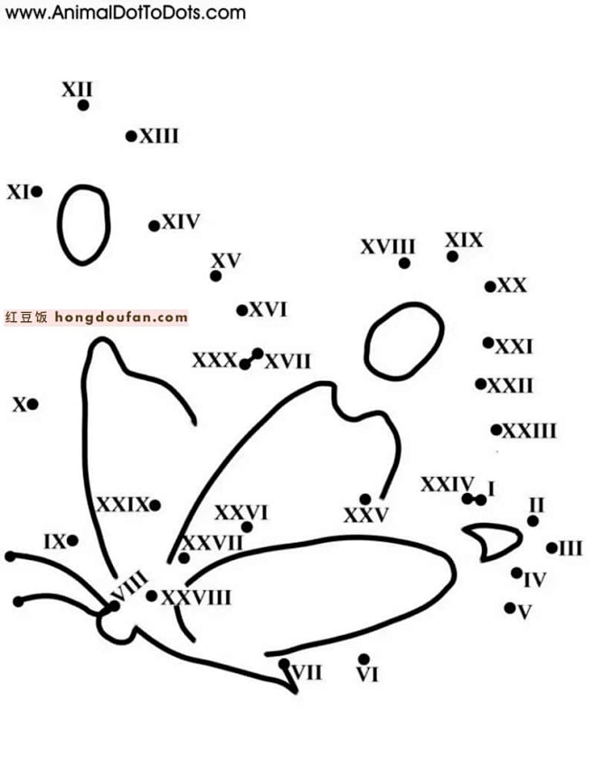 10张小鸟大象鲸鱼小马动物主题连线作业题...
