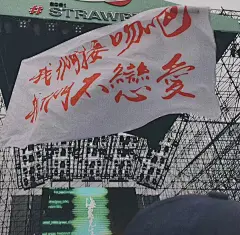 不等了铁树开不了花很没意思朋友圈背景图​​​