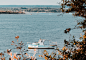 david-boca-wxtjLt7TUzs-unsplash