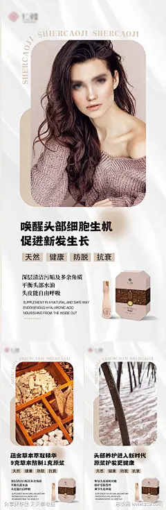 洗发水产品海报-源文件下载