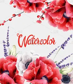 水彩画,贺卡,多色的,牡丹,华丽的,颜色,浪漫,壁纸,花,问候