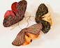 Soft Sculpture Moth Butterfly Fabric Brooch / by BlueTerracotta