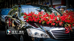 Vop丶先生采集到花车