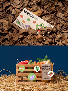舒子shuzi采集到品牌设计