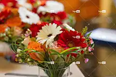 花朵 花卉背景 花束 花壁纸 自然 红色的 雏菊 爱 玫瑰