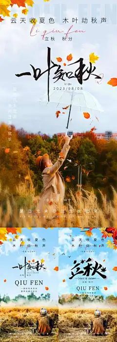 立秋节气海报-立秋,节气,海报,秋天,秋分,渐凉,平分,昼夜,系列,二十四节气,枫叶,主图,主画面,一叶知秋,地产