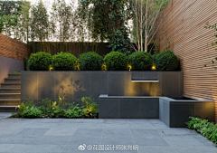 写诗的蜗牛采集到庭院