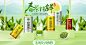 首页-乐品乐茶旗舰店-天猫Tmall.com