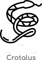 响尾蛇,分离着色,轮廓,黑色,计算机图标,简单,线条,野生动物,蛇,复古