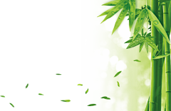 3CNkgYD0采集到树叶