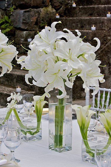 婚礼桌花-自然的白色同绿色布置出的清新纯...