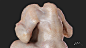 Chicken, Defect XYZ : I`ve captured 4 stages of chicken been cooked and next wrapped them to a same topology in order to be able to cook it during gameplay in UE4.