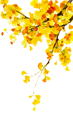 RN8MtAhn采集到矢量插画