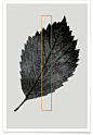 Plants I als Premium Poster von typealive | JUNIQE: 