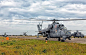Mil Mi - 24 雌鹿
