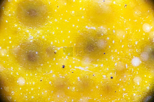 橘子皮在光学显微镜下，详细的皮近距离，放大40倍