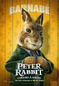 比得兔2：逃跑计划 Peter Rabbit 2: The Runaway 海报