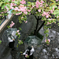  | 背景图 - 小红书