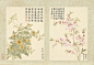 古画-花卉参考