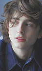 Timothée Chalame