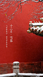 来自相册