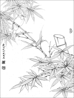 辣条子哎呀采集到白描