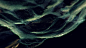 MoGraph particles experiments experimental