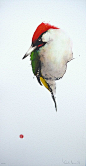 Karl Mårtens - Green Woodpecker - watercolor: 