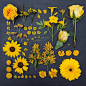 【摄影】《The Garden Collection》，使用同色系不同形态的花朵和植物摆放而成，共包含8幅作品8种色彩，来自美国女摄影师Emily Blincoe [转]