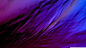 General 1920x1080  retrowave Retrowave purple abstract shadow watermarked